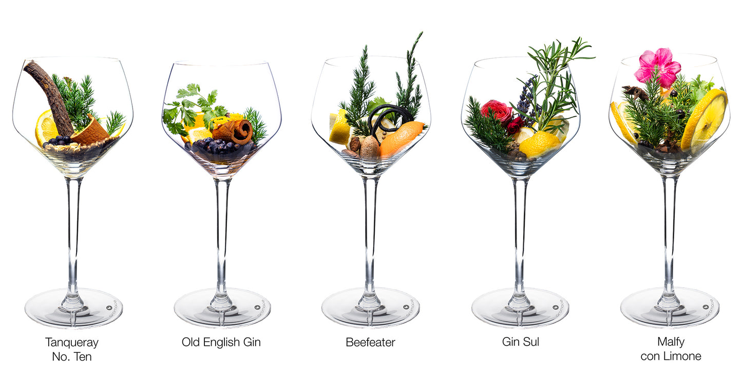 Lemon & Fresh, Favourites Selection | Tanqueray No. Ten – Old English Gin – Beefeater – Gin Sul – Malfy con Limone