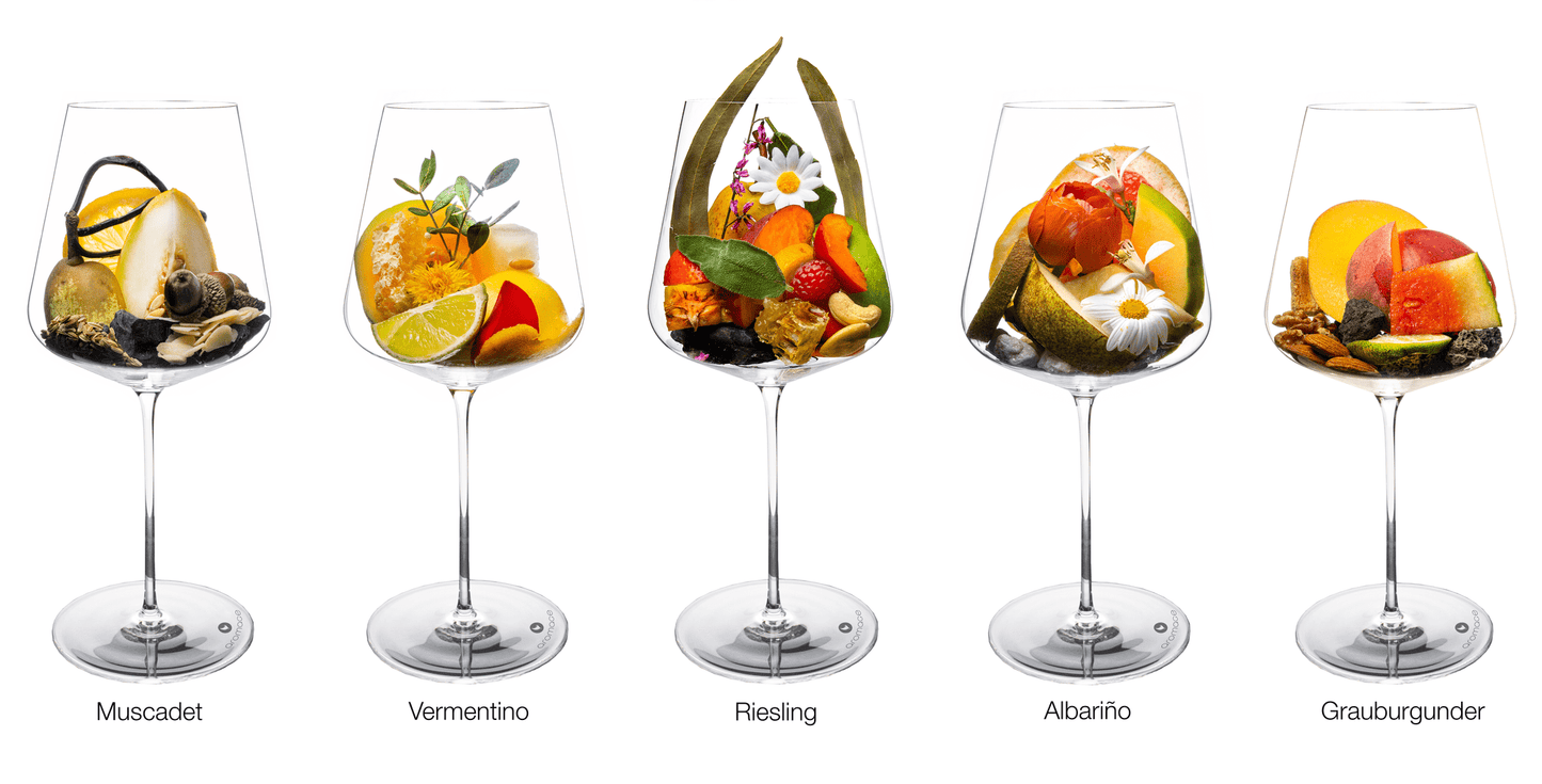 Light Bodied Whites | Muscadet – Vermentino – Riesling – Albariño – Grauburgunder