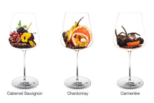 Chile, Colchagua | Cabernet Sauvignon – Chardonnay – Carménère