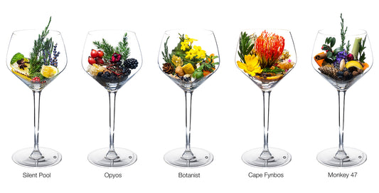 Botanical Rich, Favourites Selection | Silent Pool – Opyos – Botanist – Cape Fynbos – Monkey 47
