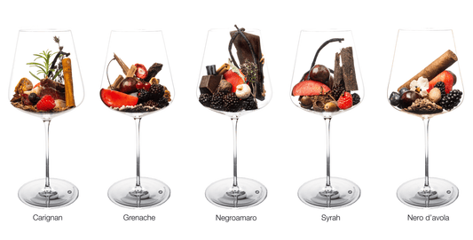 Most Fruity Reds | Carignan – Grenache – Negroamaro – Syrah – Nero d‘avola